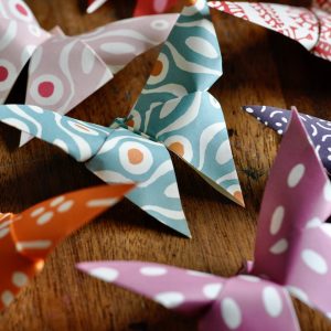 Cambridge Imprint Cloud of Butterflies Kit