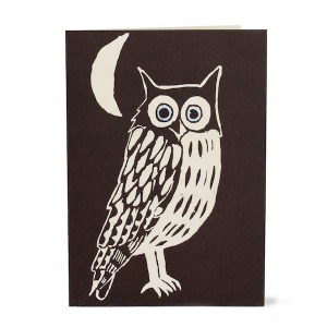 Cambridge Imprint Card Nighttime Owl
