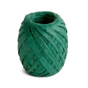 Cambridge Imprint Paper Ribbon Forest Green