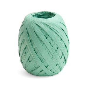 Cambridge Imprint Paper Ribbon Mint Green