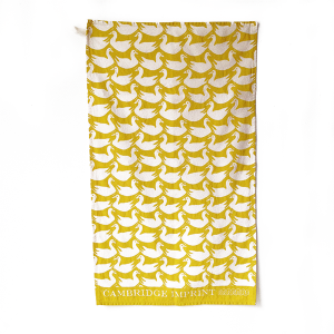teatowels_0006_TTWL-DUCKS-yellow