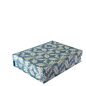 A5 Box File Dandelion Blue by Cambridge Imprint