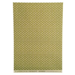 Cambridge Imprint Patterned Paper Animalcules Bawden Green