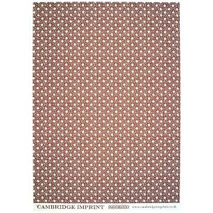 Cambridge Imprint Patterned Paper Animalcules Cocoa