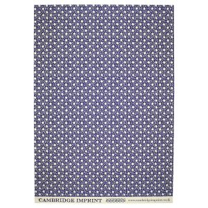 Cambridge Imprint Patterned Paper Animalcules Twilight