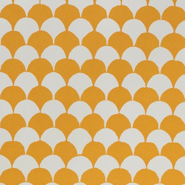 Cambridge Imprint Clamshell Patterned Paper in Transparent Orange