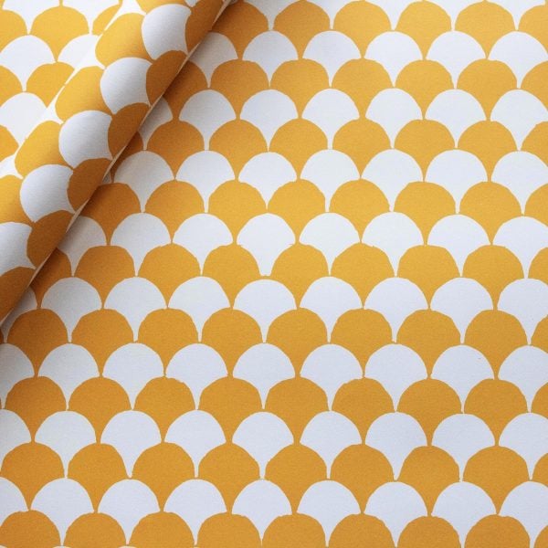 Clamshell Transparent Orange Patterned Paper by Cambridge Imprint