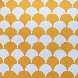 Clamshell Transparent Orange Patterned Paper by Cambridge Imprint