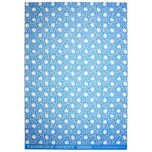Cambridge Imprint Patterned Paper in Milky Way Blue