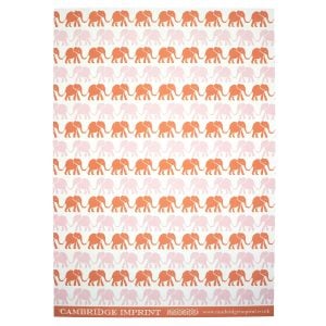 Cambridge Imprint Elephants Patterned Paper