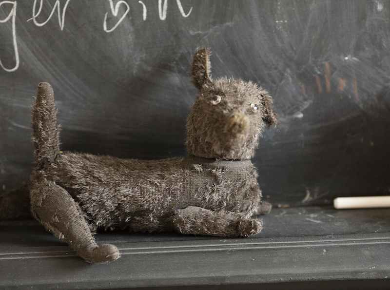Cambridge Imprint sausage dog