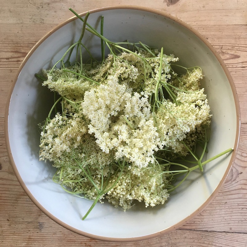 How To Make Elderflower Cordial
