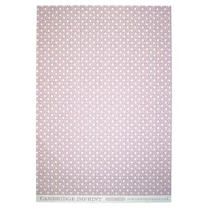 Cambridge Imprint Patterned Paper Animalcules Cupboard Pink