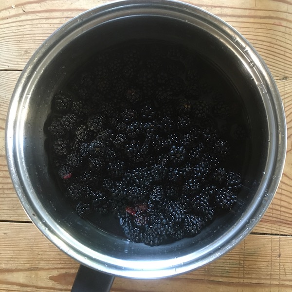 Cooking Blackberries Cooking Blackberries