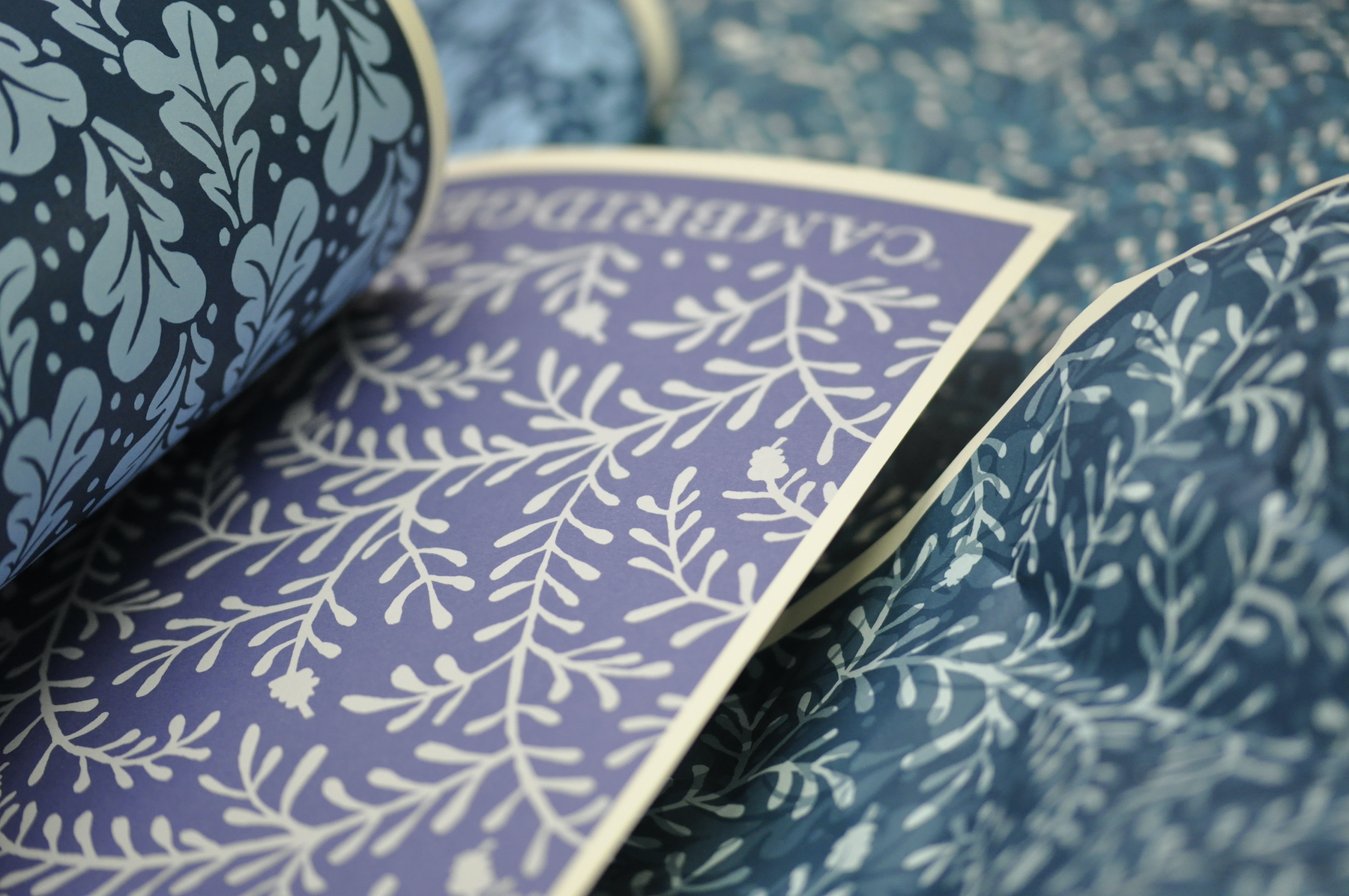 Cambridge Imprint Patterned Papers