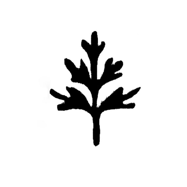 Frond printing block by Cambridge Imprint