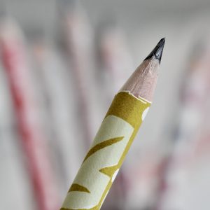 Patterned Paper-covered Sketching Pencil by Cambridge Imprint