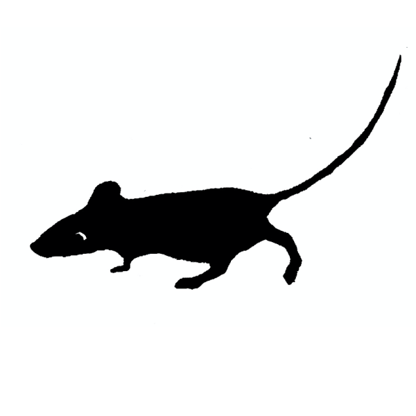 Cambridge Imprint Mouse Stamp