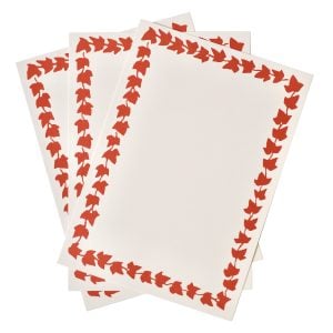 8 Menu Cards with Patterned Border in Tomato