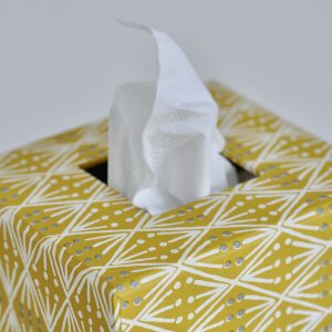 Tissue Box covered in patterned paper by Cambridge Imprint