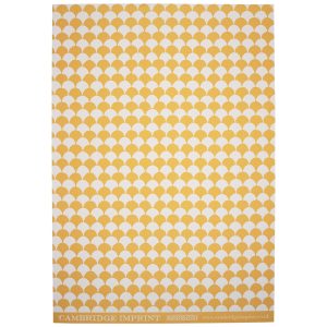 Cambridge Imprint patterned paper