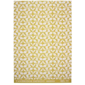 Cambridge Imprint patterned paper
