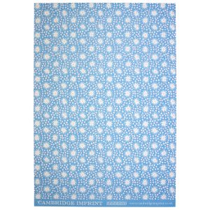 Cambridge Imprint patterned paper