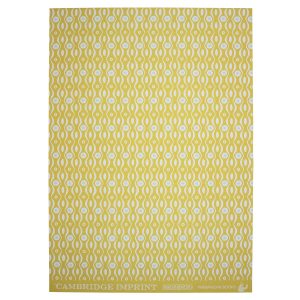 Cambridge Imprint patterned paper