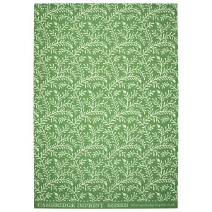 Cambridge Imprint patterned paper