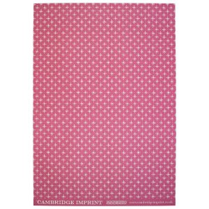 Cambridge Imprint patterned paper