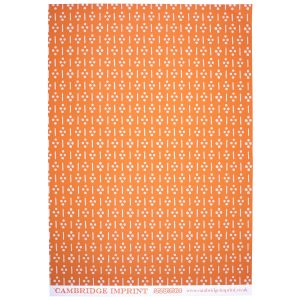Cambridge Imprint patterned paper