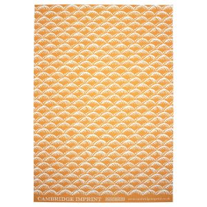 Cambridge Imprint patterned paper