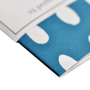 Very Slim List Book with Bean Kingfisher covers