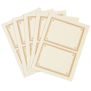 Packet of 10 Large Self-Adhesive Labels with Plaster Pink Border