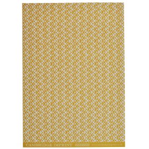 Cambridge Imprint Kelp pattern paper