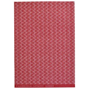 Cambridge Imprint Kelp pattern paper