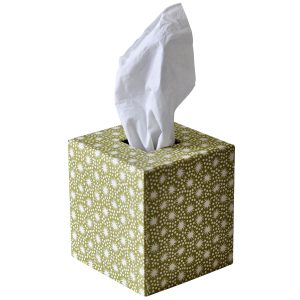 Cambridge Imprint Tissue Box Cover