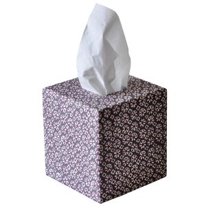 Cambridge Imprint Tissue Box Cover