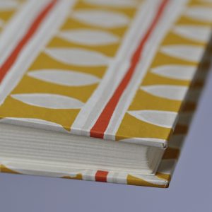 Photograph Album in Charleston Stripe