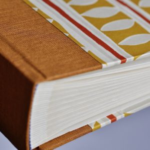 Photograph Album in Charleston Stripe