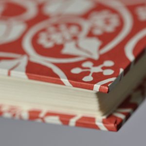 Photograph Album in Small Ivy Stripe Red