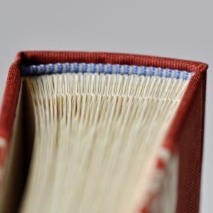 Photograph Album in Small Ivy Stripe Red