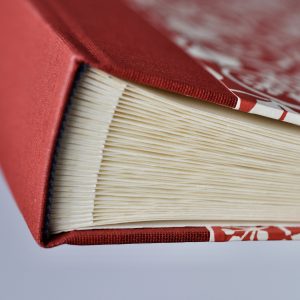 Photograph Album in Small Ivy Stripe Red