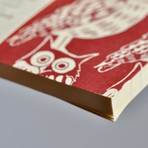 Cambridge Imprint Square Notebook in Owls