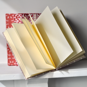 Hardback Notebooks — Plain Pages