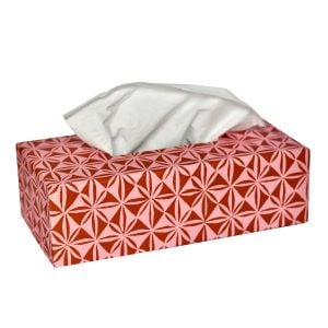 An Oblong TIssue Box Cover in Windmill Nougat