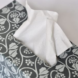 An Oblong TIssue Box Cover in Small Ivy Stripe Blackthorn