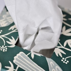 A Square Tissue Box Cover in Songbird Midwinter
