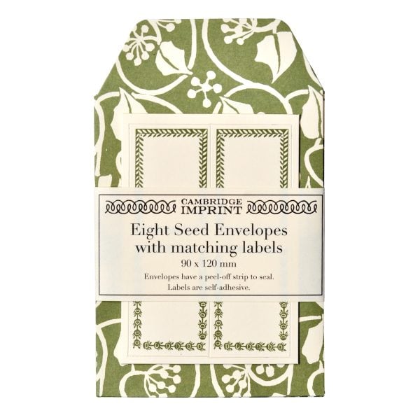 A Packet of Eight Seed Envelopes in Small Ivy Stripe Sage Green with Matching Labels