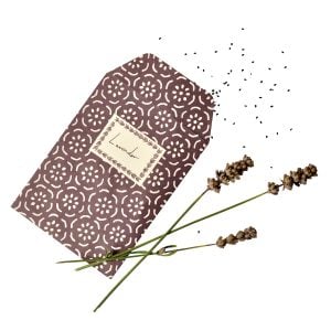 A Packet of Eight Seed Envelopes in Small Pear Halves Elderberry with Matching Labels